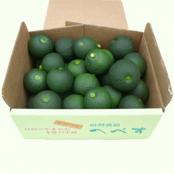 特選(たね・キズなし)1kg